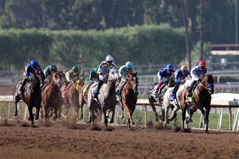 horse racing results today.